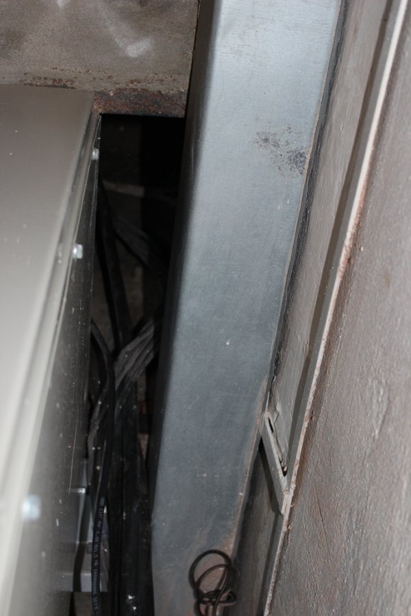 У мерії Луцька пояснили, чим скомпрометував себе учасник тендеру на реконструкцію зоокуточка